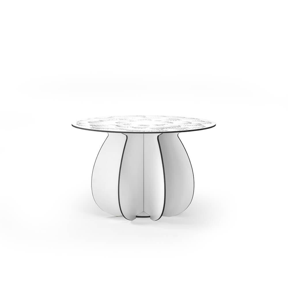 Parodia Magnifica utebord Ø55cm 9