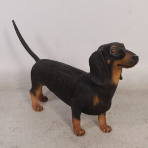 Dachshund fra Exlusive items 3