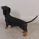Dachshund fra Exlusive items 4