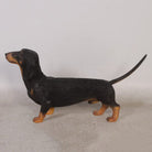 Dachshund fra Exlusive items 5