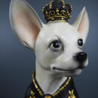 Prince Dog 3