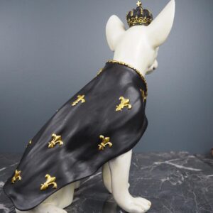 Prince Dog 4