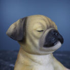 Yoga Puppy 2