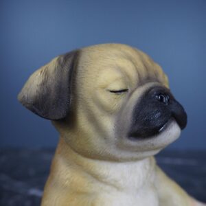 Yoga Puppy 2