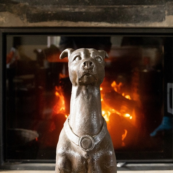 Guard Dog, brun 2