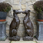Guard Dog, brun 1