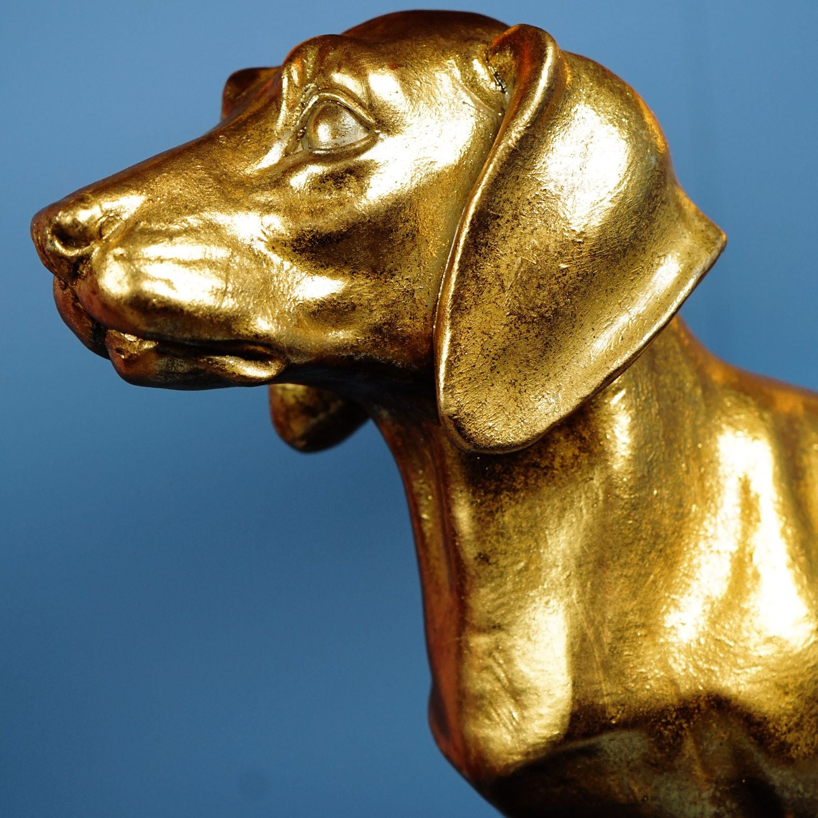  Dachs Vienna bordlampe  2