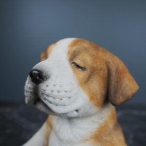 Yoga Puppy 3