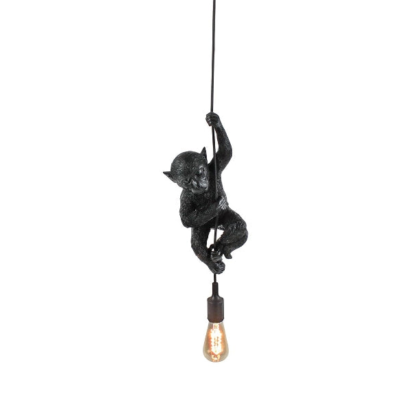 Chip taklampe 6