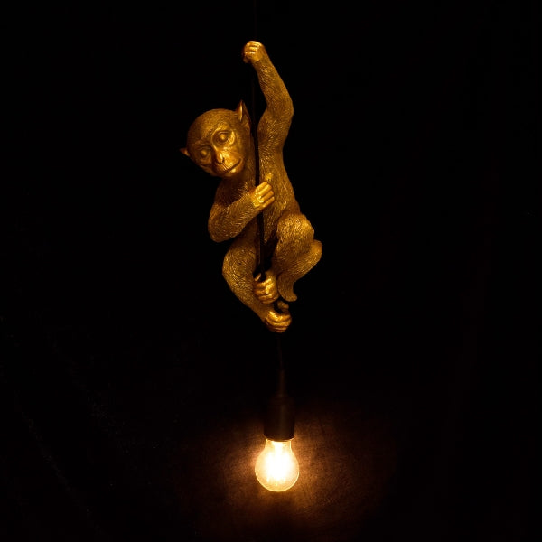 Chip taklampe 3