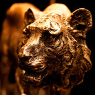 Tiger Bordlampe 2