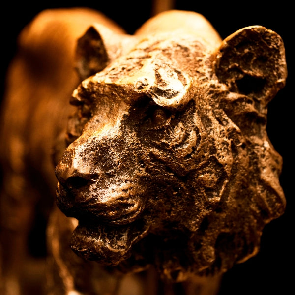 Tiger Bordlampe 2