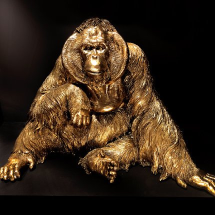 Orangutan, Gold 1