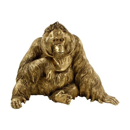 Orangutan, Gold 2