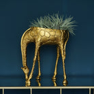 Gina Giraffe blomsterpotte i flere farger 1