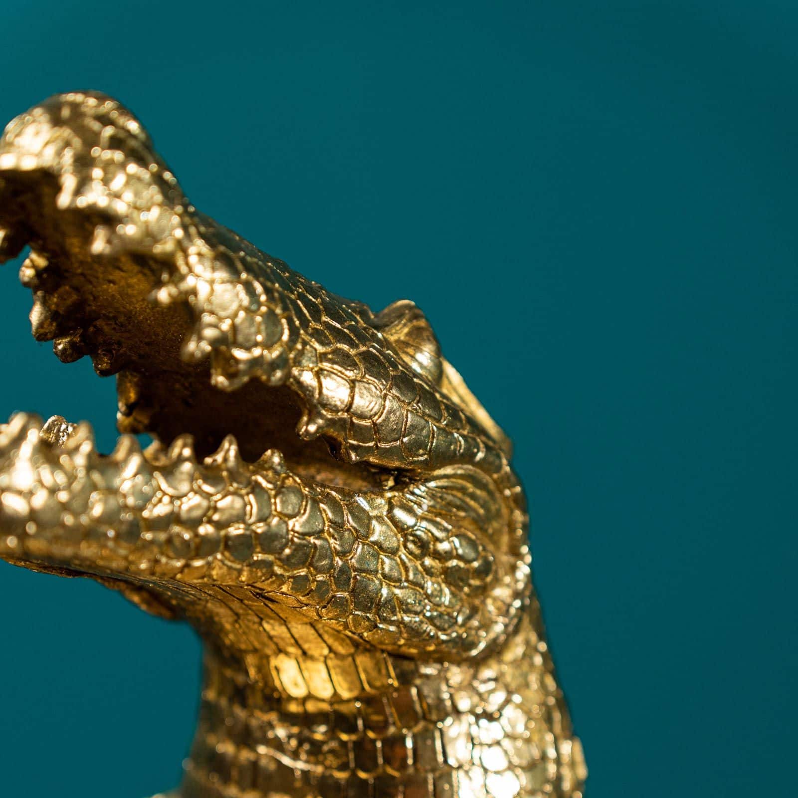 Morty Crocodile w. Tray Gold 5