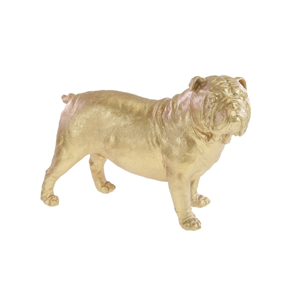 Bulldog Gold 1