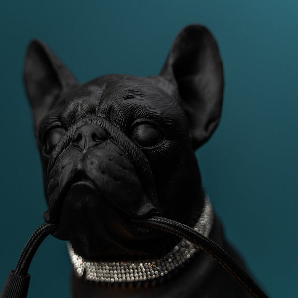 Fransk Bulldog Francis bordlampe 9