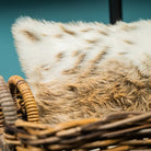 Lynx Pute 3