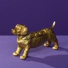 Dachshund box gull 1