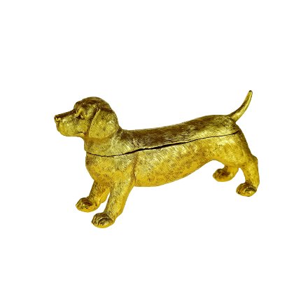 Dachshund box gull 4
