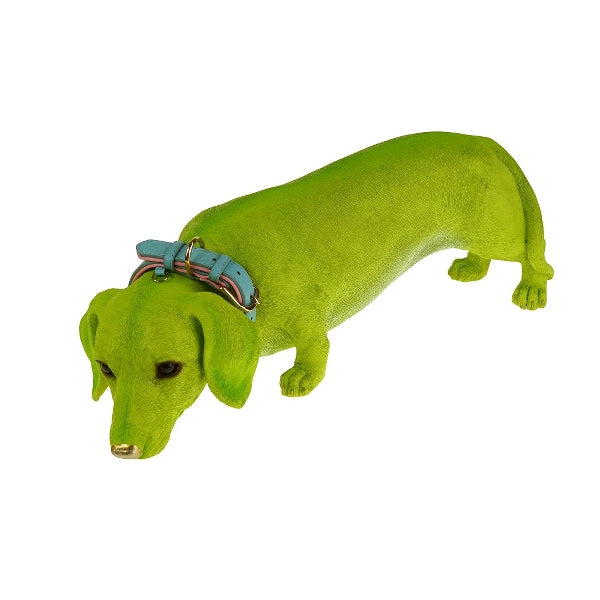 Dachs Wilfried 7