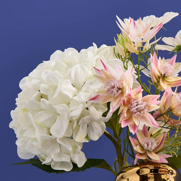 Hortensia 2