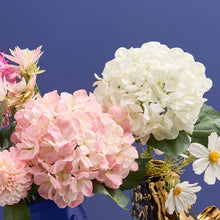 Hortensia 1