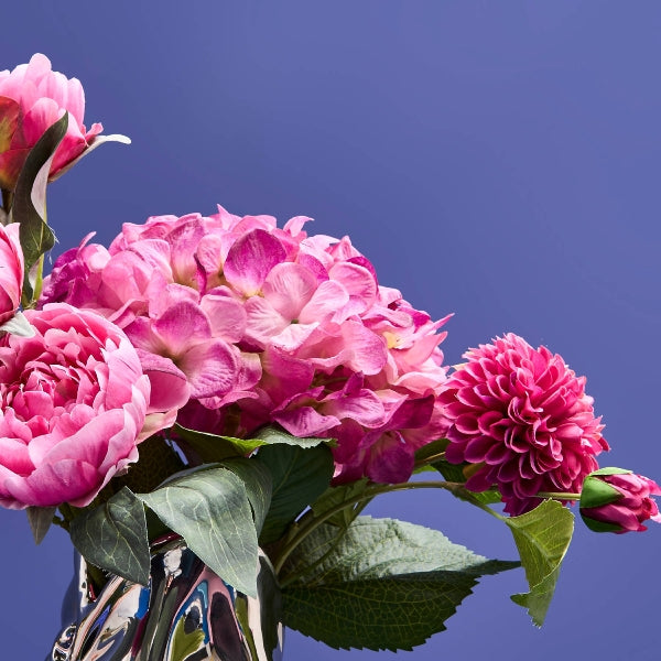 Hortensia 3