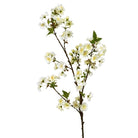 Kirsebærblomst 3