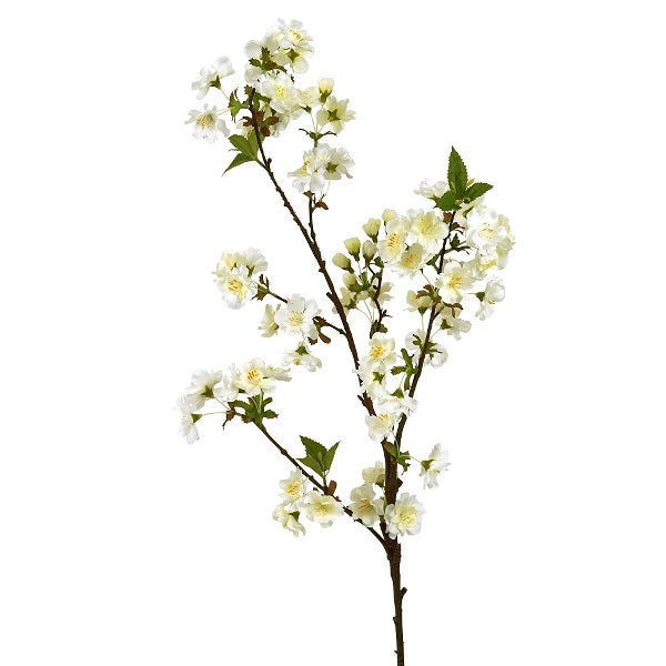 Kirsebærblomst 3