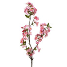 Kirsebærblomst 2