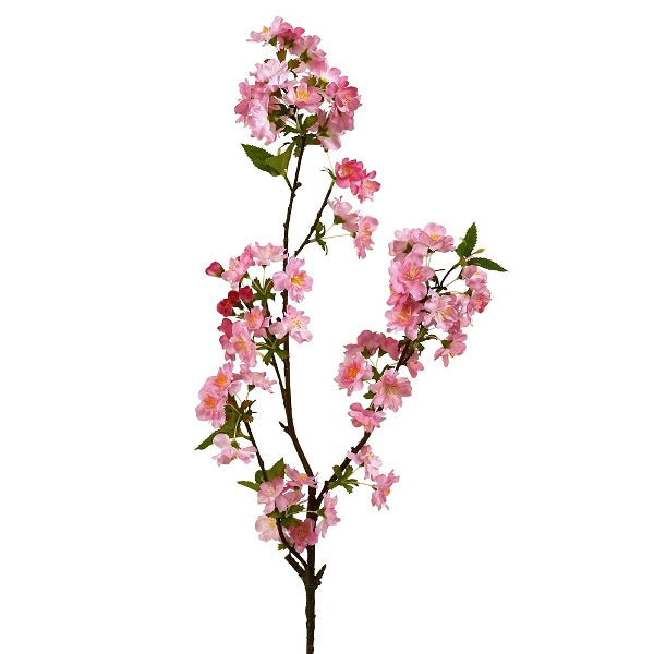 Kirsebærblomst 2