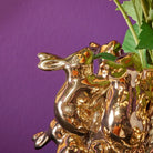 Bunny vase i forskjellige farger 4