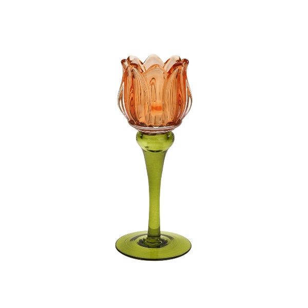Tulipan lysestake i forskjellige farger MEDIUM 6