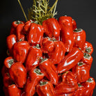 Paprika vase 2