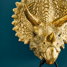 Triceratops vegglampe 2