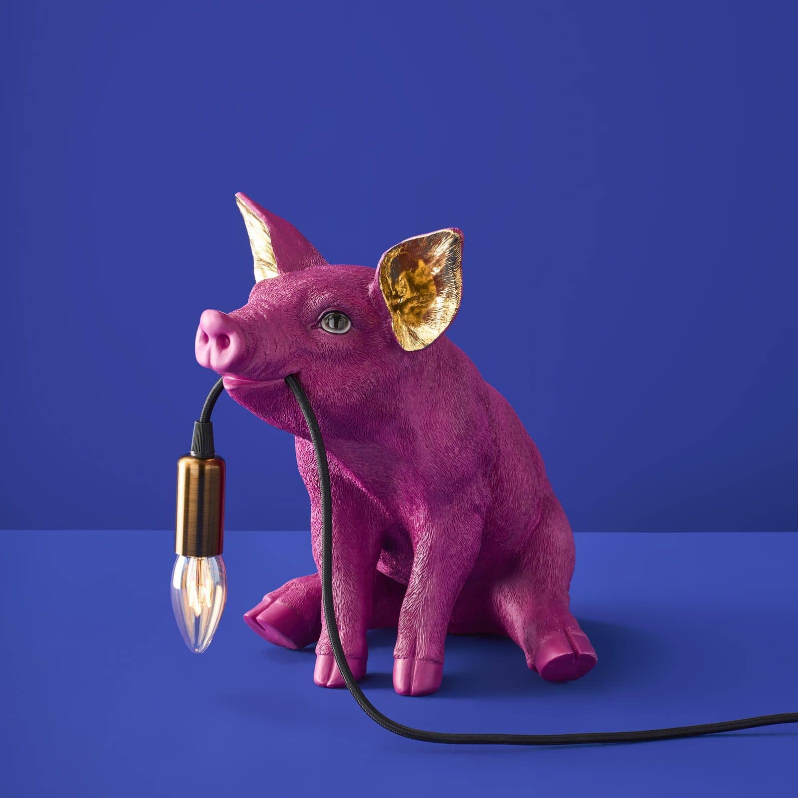 Piggy Pig Bordlampe 6