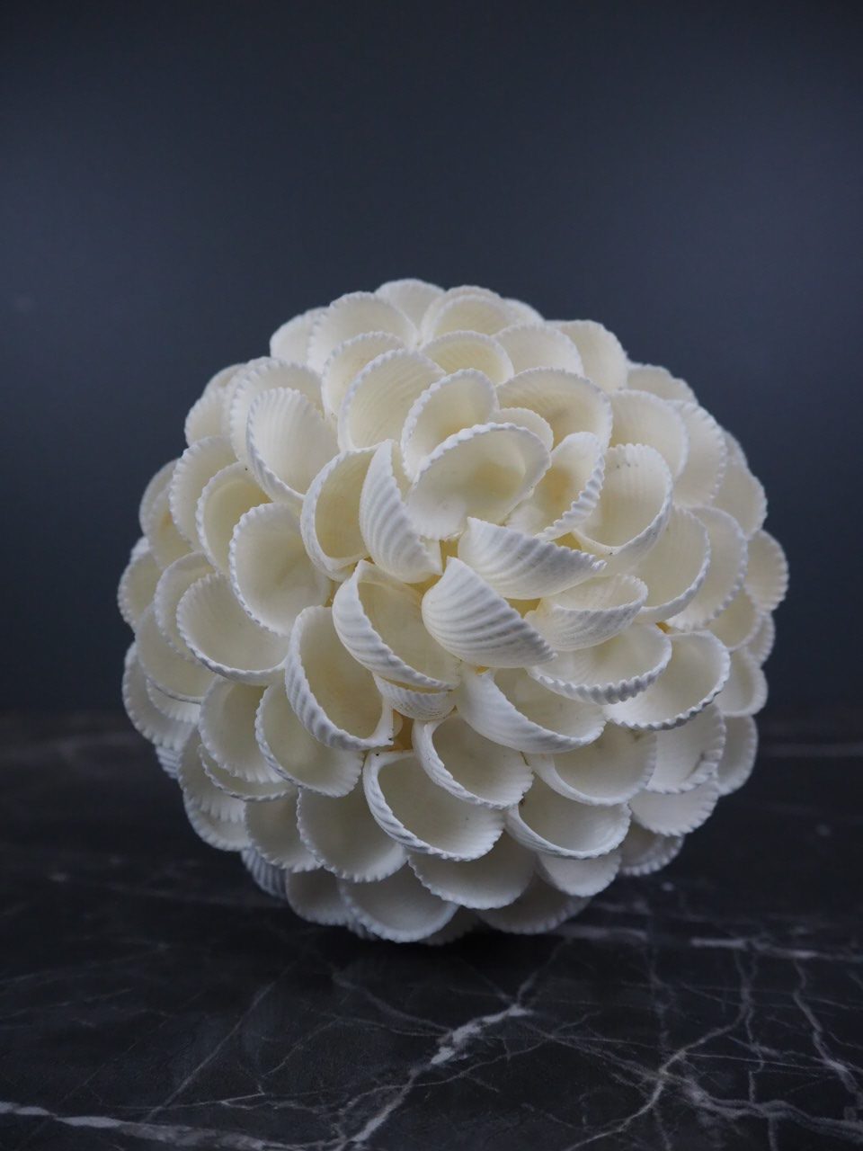 Clam Rose Ball 1