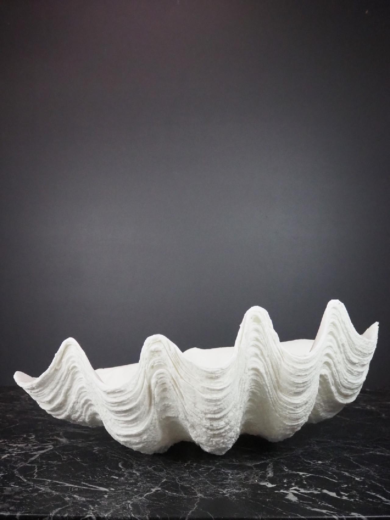 Puerto Galera Klamskjell/ Clam shell HVIT 4