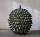 13" Durian 1