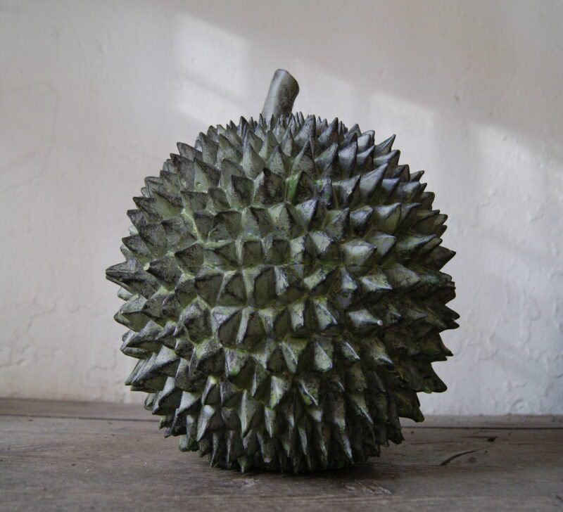 13" Durian 1
