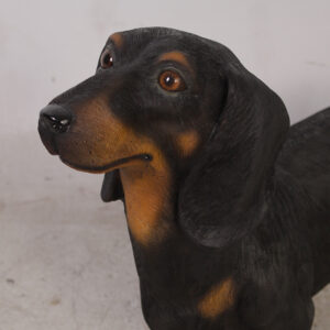 Dachshund fra Exlusive items 1