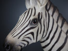 Zebra bordlampe 2