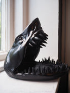 Shark head fat 1