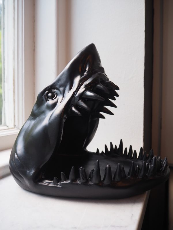Shark head fat 1