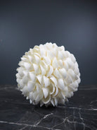 Clam Rose Ball 2