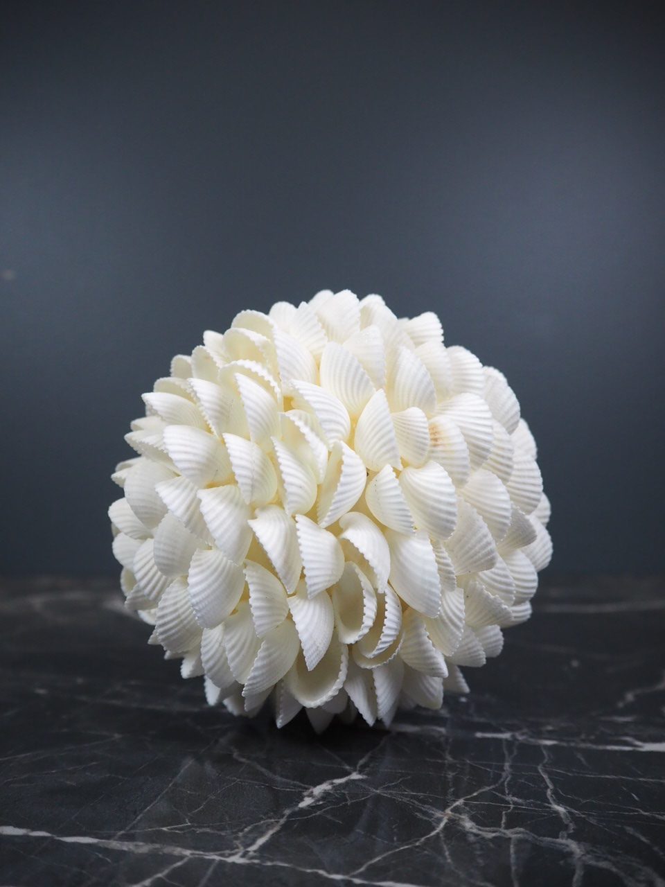Clam Rose Ball 2