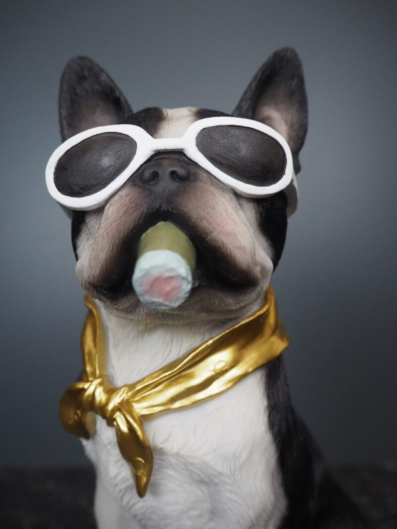 Hunden Dolph 3