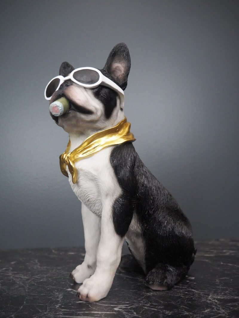 Hunden Dolph 2